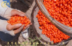 美思康宸集团乡村振兴项目组宁夏站启动仪式今日举行