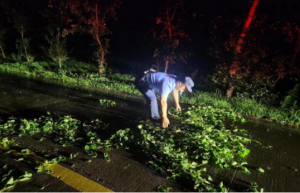 【夏季行动】大风刮断树枝，倒地变成“拦路虎”……