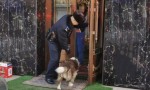 群众爱犬“离家出走” 民警暖心帮助寻回